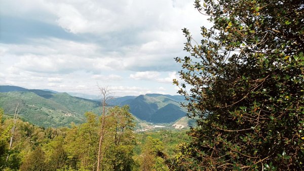 negozio in vendita a Borgo a Mozzano
