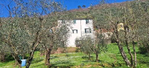 appartamento in vendita a Borgo a Mozzano in zona Domazzano