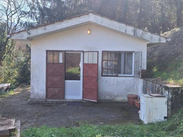 casa indipendente in vendita a Borgo a Mozzano