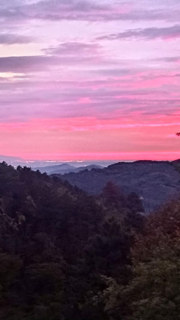 negozio in vendita a Borgo a Mozzano