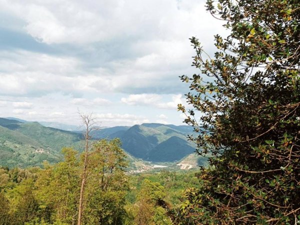 negozio in vendita a Borgo a Mozzano