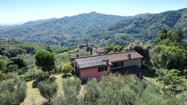 casa indipendente in vendita a Borgo a Mozzano in zona Valdottavo