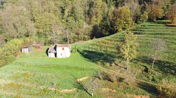 quadrivano in vendita a Borgo a Mozzano in zona Valdottavo
