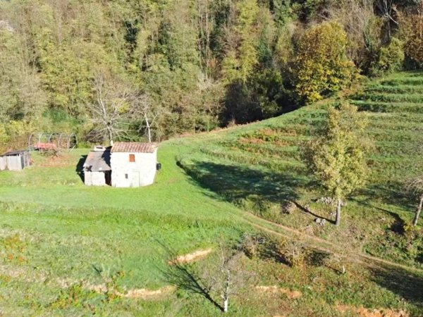 casa indipendente in vendita a Borgo a Mozzano in zona Valdottavo