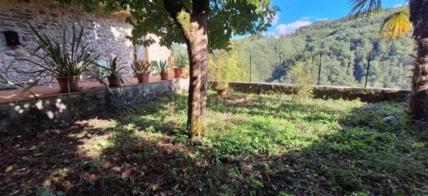 casa indipendente in vendita a Borgo a Mozzano in zona Gioviano