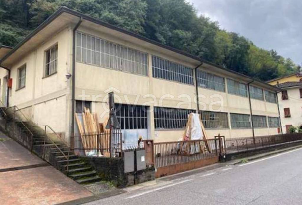 terreno edificabile in vendita a Borgo a Mozzano in zona Valdottavo