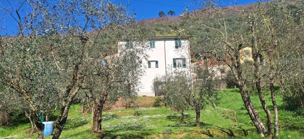 appartamento in vendita a Borgo a Mozzano in zona Domazzano