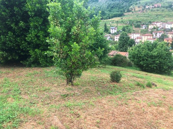 casa indipendente in vendita a Borgo a Mozzano in zona Tempagnano