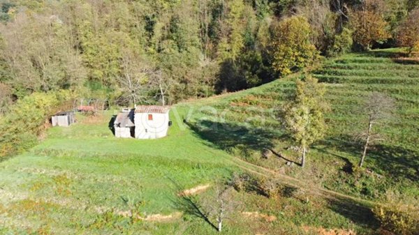 casa indipendente in vendita a Borgo a Mozzano in zona Valdottavo