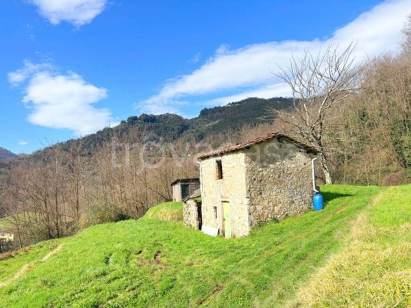 casa indipendente in vendita a Borgo a Mozzano in zona Valdottavo