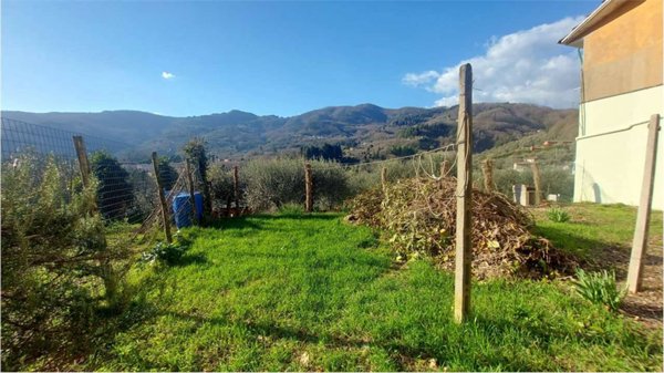 casa indipendente in vendita a Borgo a Mozzano in zona Valdottavo
