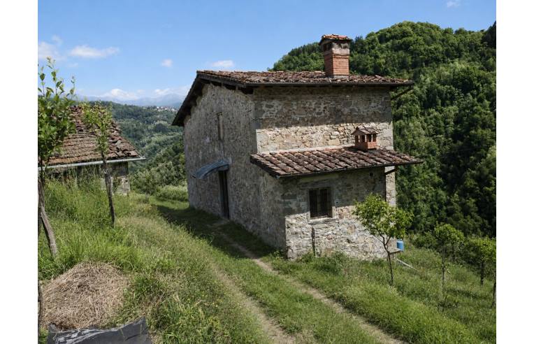 casa indipendente in vendita a Borgo a Mozzano in zona Chifenti