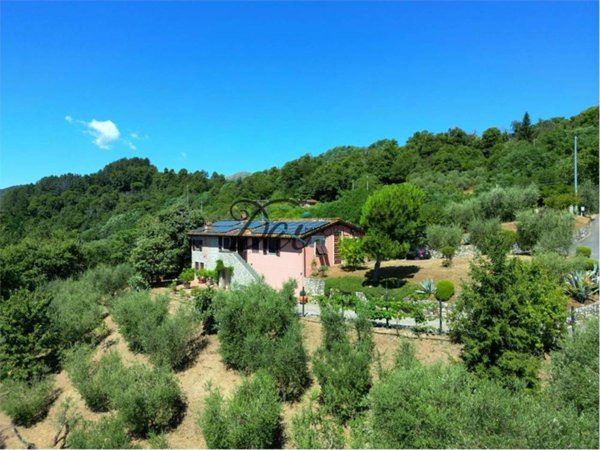 casa indipendente in vendita a Borgo a Mozzano in zona Valdottavo