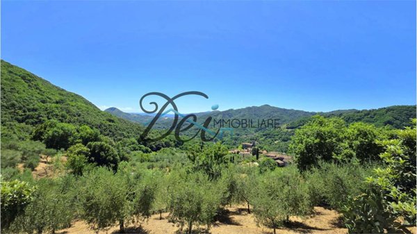 casa indipendente in vendita a Borgo a Mozzano in zona Valdottavo