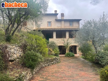 casa indipendente in vendita a Camaiore in zona Montebello