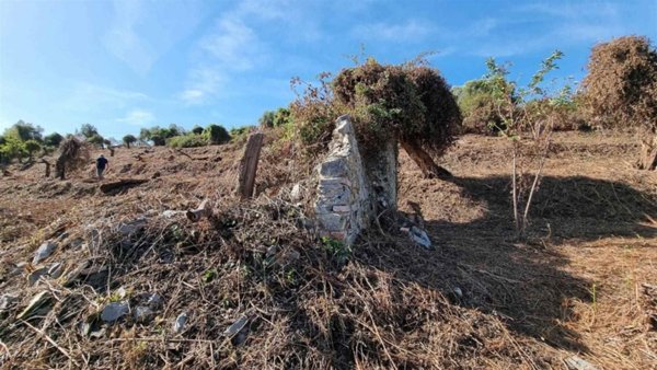 casa indipendente in vendita a Camaiore