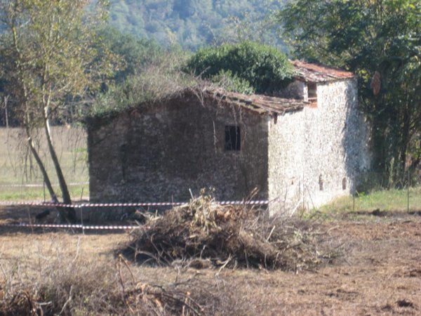 rudere in vendita a Camaiore in zona Orbicciano