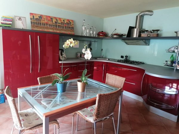 esavano in vendita a Camaiore in zona Orbicciano