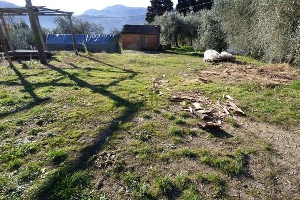 pentavano in vendita a Camaiore