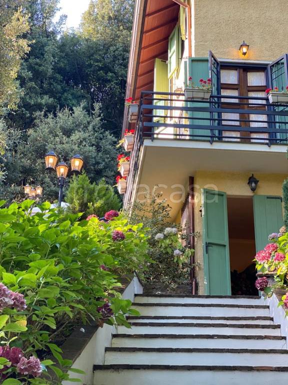 casa indipendente in vendita a Camaiore