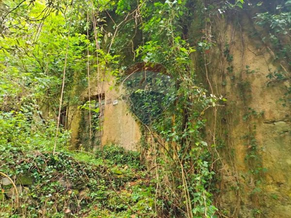 casale in vendita a Camaiore in zona Casoli