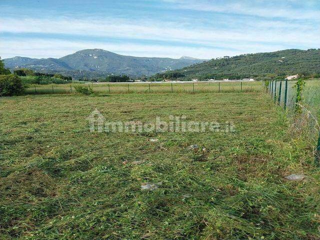 casa indipendente in vendita a Camaiore