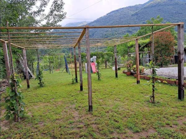 terreno agricolo in vendita a Camaiore