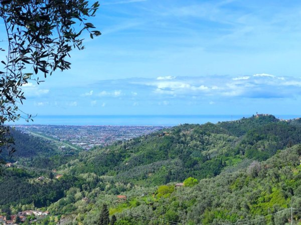 casa indipendente in vendita a Camaiore in zona Greppolungo