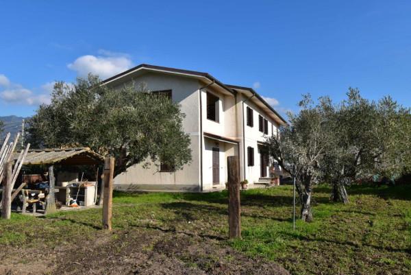 casa indipendente in vendita a Camaiore in zona Capezzano Pianore