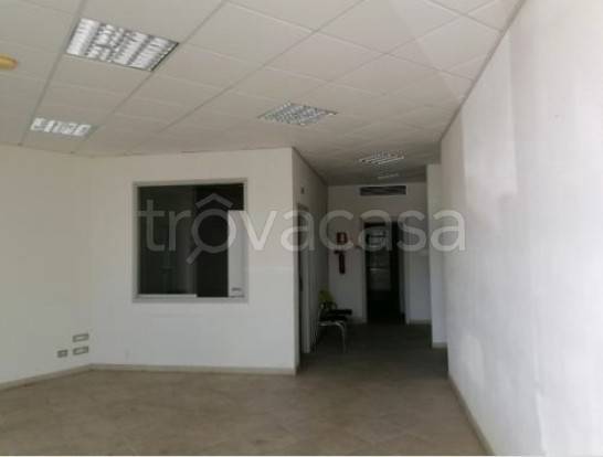 appartamento in vendita a Camaiore in zona Capezzano Pianore