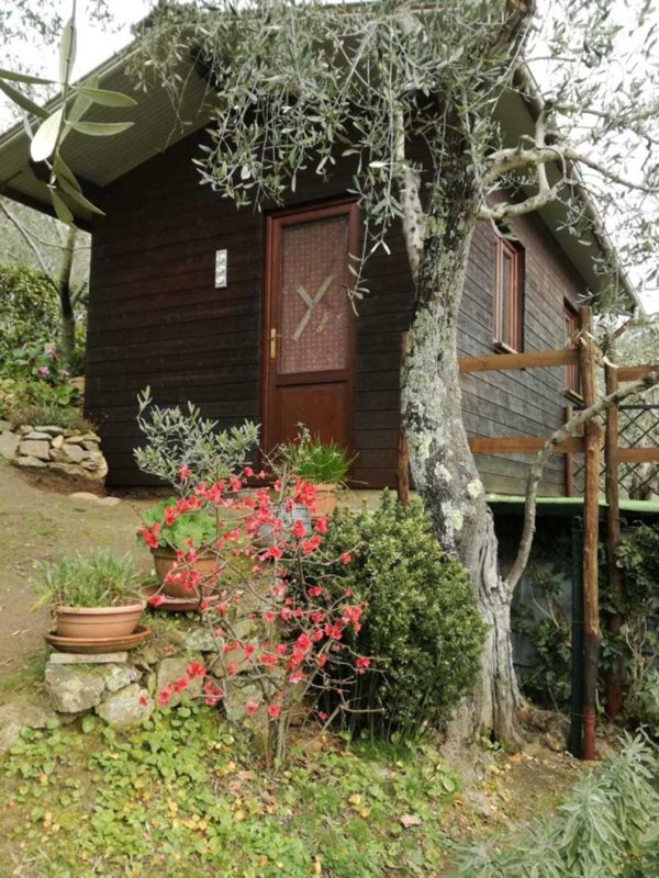 terreno agricolo in vendita a Camaiore