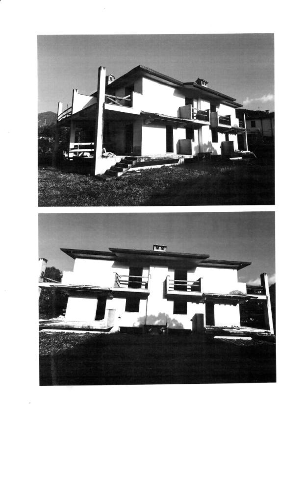 esavano in vendita a Camaiore in zona Capezzano Pianore