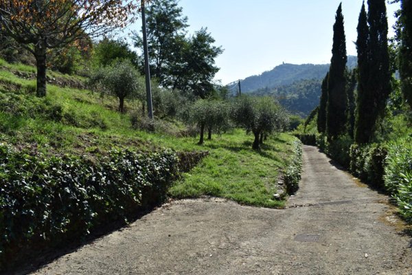 casa indipendente in vendita a Camaiore