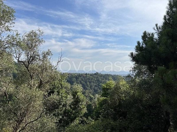 terreno agricolo in vendita a Camaiore in zona Capezzano Pianore