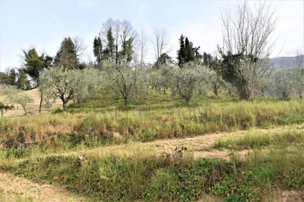 casa indipendente in vendita a Camaiore