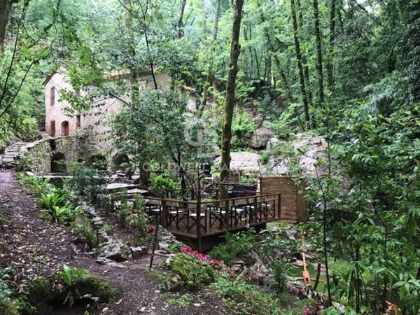 casa indipendente in vendita a Camaiore in zona Orbicciano