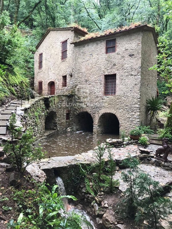 pentavano in vendita a Camaiore in zona Orbicciano