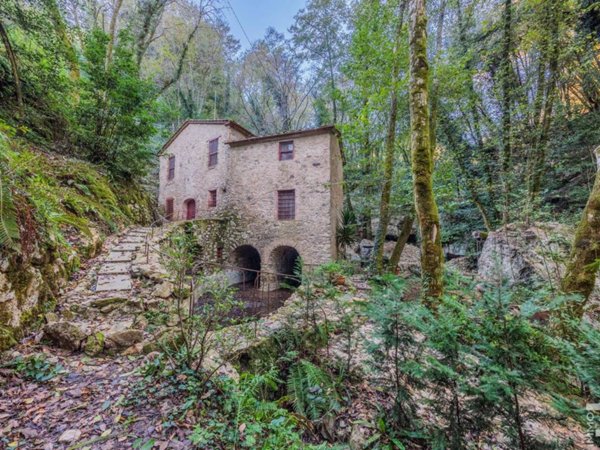casa indipendente in vendita a Camaiore