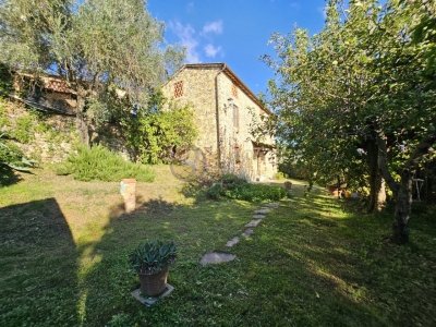 casa indipendente in vendita a Camaiore in zona Capezzano Pianore