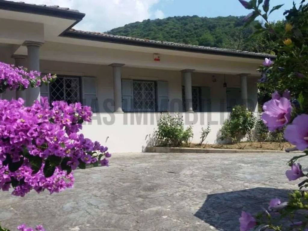casa indipendente in vendita a Camaiore
