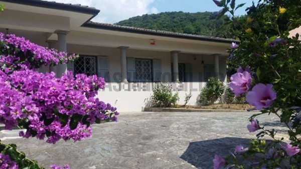 casa indipendente in vendita a Camaiore