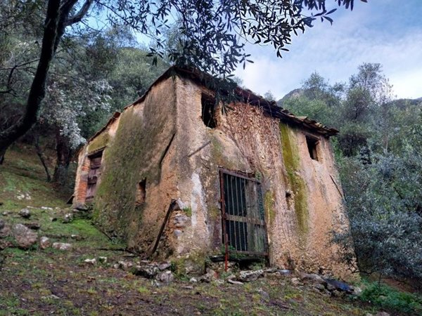 terreno agricolo in vendita a Camaiore