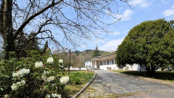 casa indipendente in vendita a Camaiore in zona Valpromaro