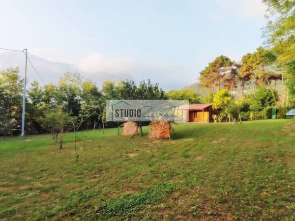 terreno agricolo in vendita a Camaiore