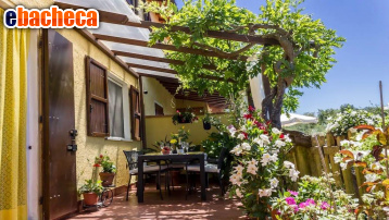 casa indipendente in vendita a Camaiore in zona Montemagno
