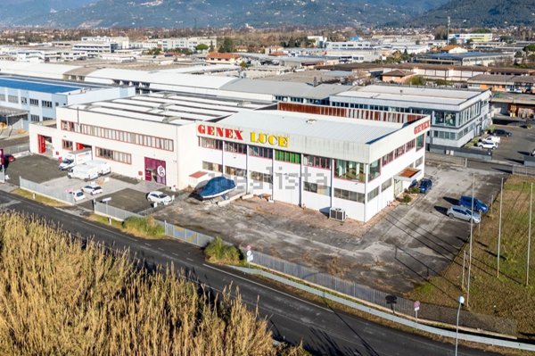 capannone in vendita a Camaiore in zona Capezzano Pianore