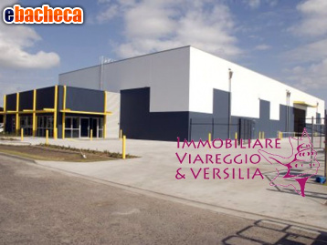 locale di sgombero in vendita a Camaiore