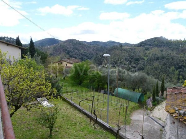 casa indipendente in vendita a Camaiore