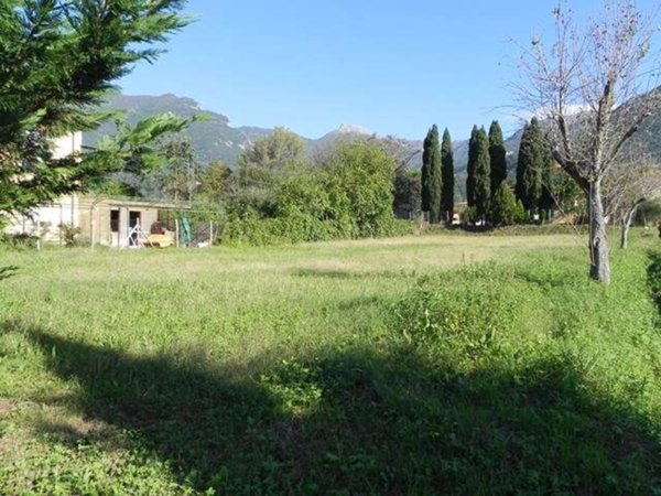 terreno agricolo in vendita a Camaiore in zona Vado