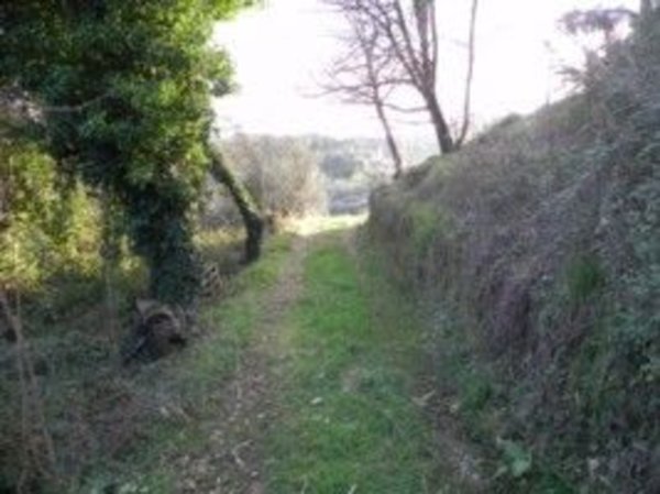 terreno agricolo in vendita a Camaiore in zona Pontemazzori
